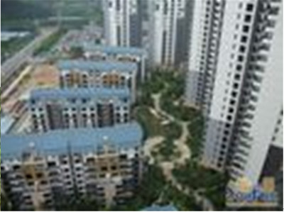 東莞珠佳房地產 專業房地產代理服務，助力投資與登記無憂